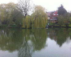PEG 61 Pictures